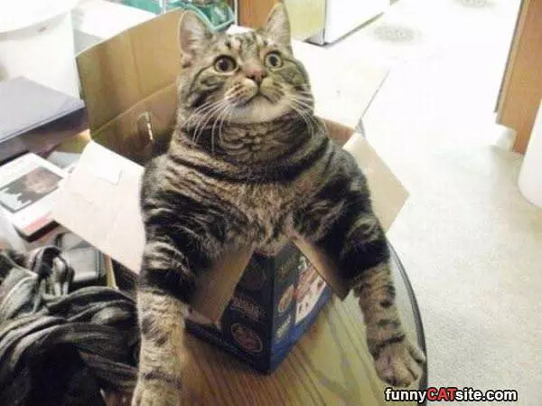 Can You Get Me A Bigger Box