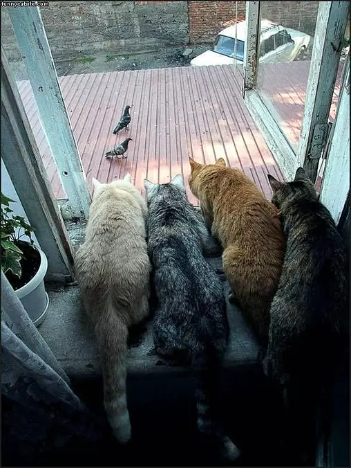 All On The Hunt