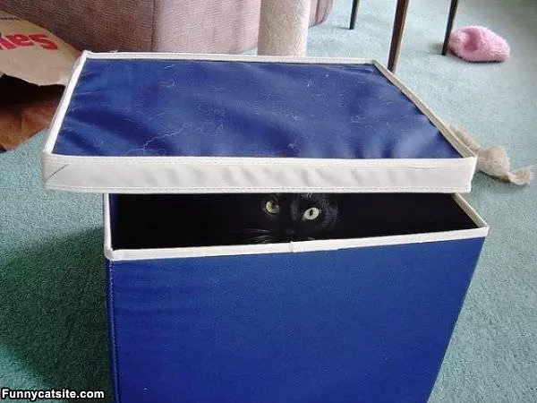 You Cant See Me