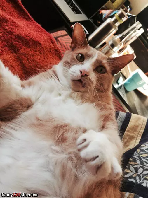Gurrrr