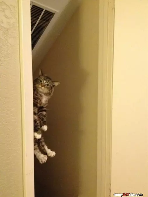 Peeking A Bit