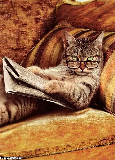 Reading The Paper