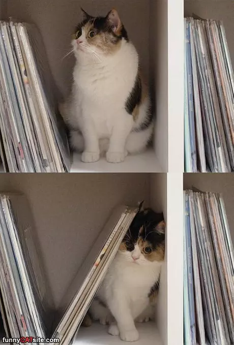 Records