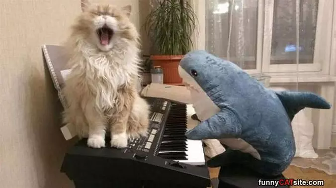 Raaaaaaaa