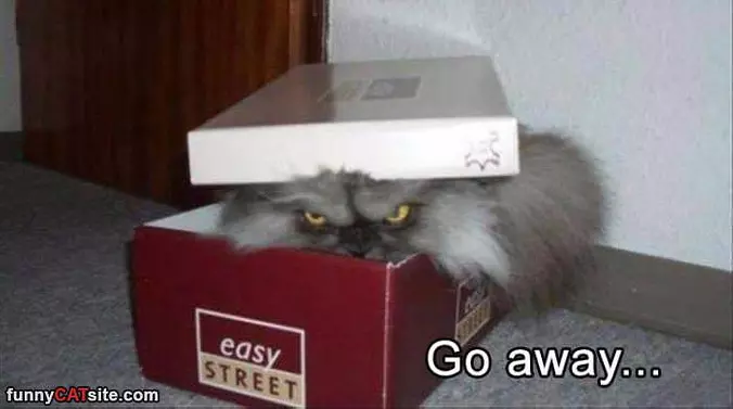 Go Away