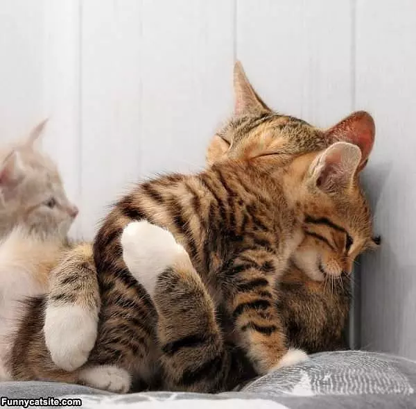 Lets Hug It Out
