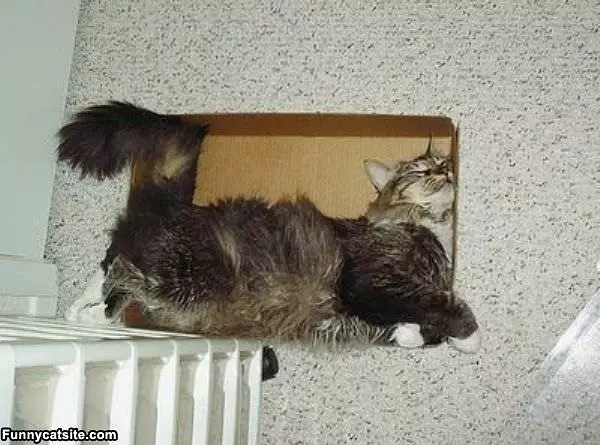 Love Me A Box