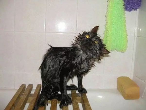 Hate Bath Day