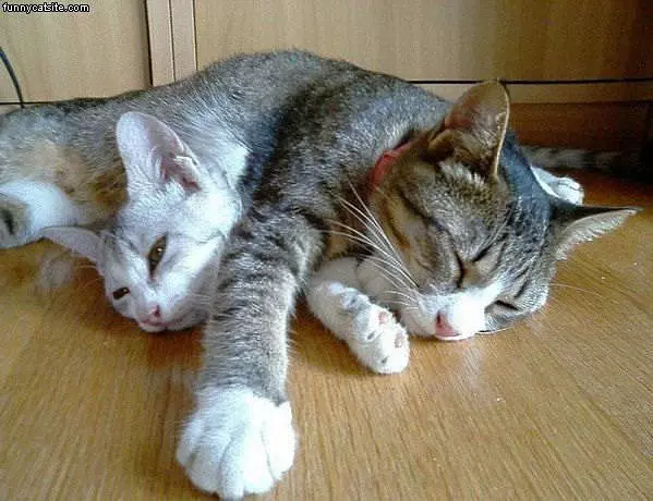 We Sleep How We Want