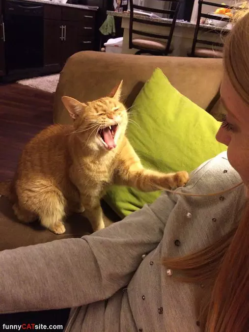Haaaaaaa