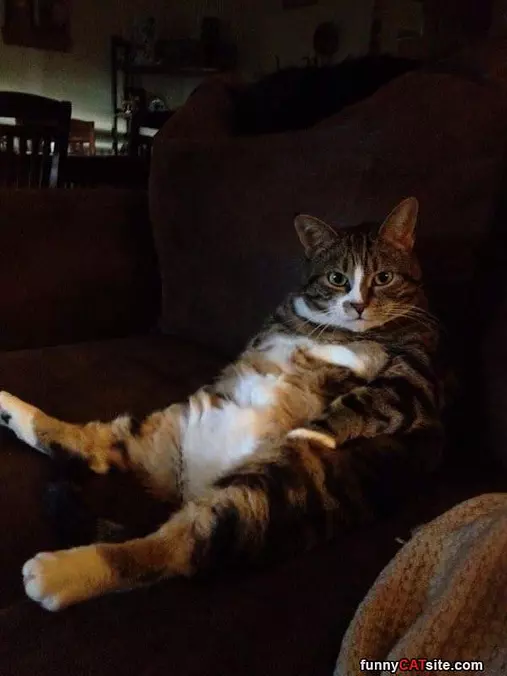 Can You Get Me A Snack