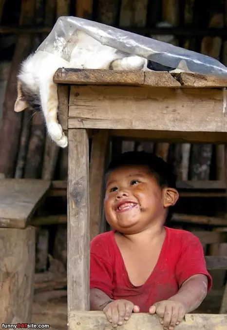 Hello Little Human