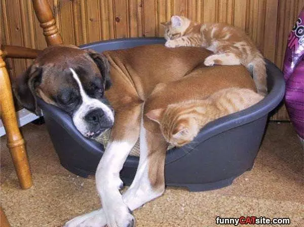 Best Place To Sleep