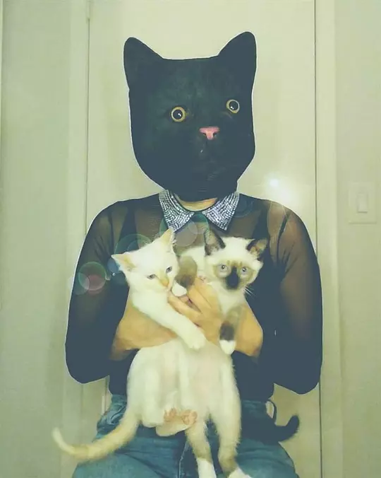 I Am Cat Man