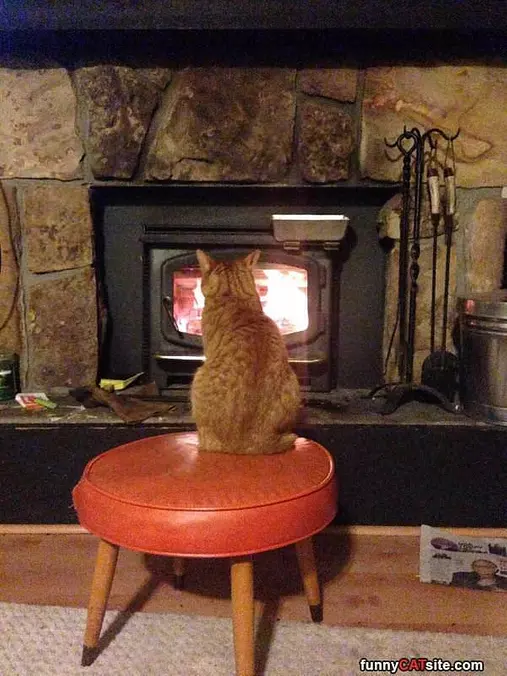 This Is So Warm