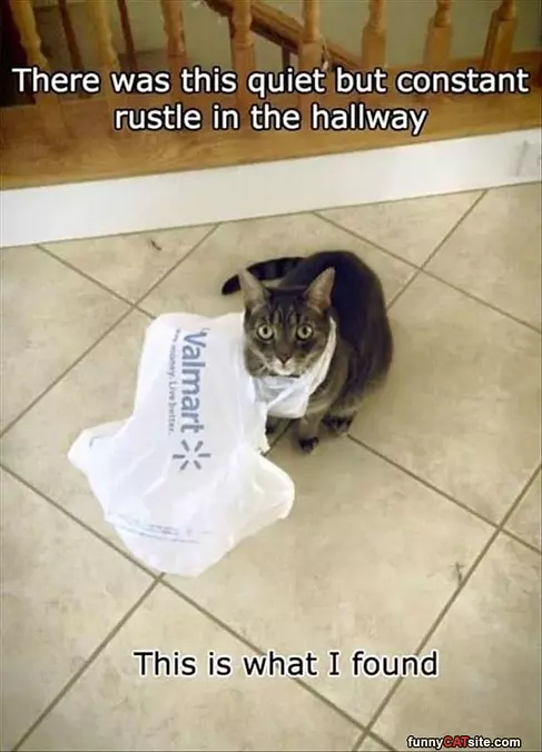 A Constant Rustle