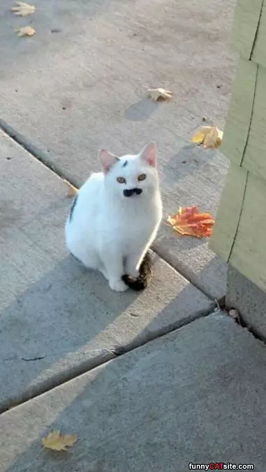 Great Mustache
