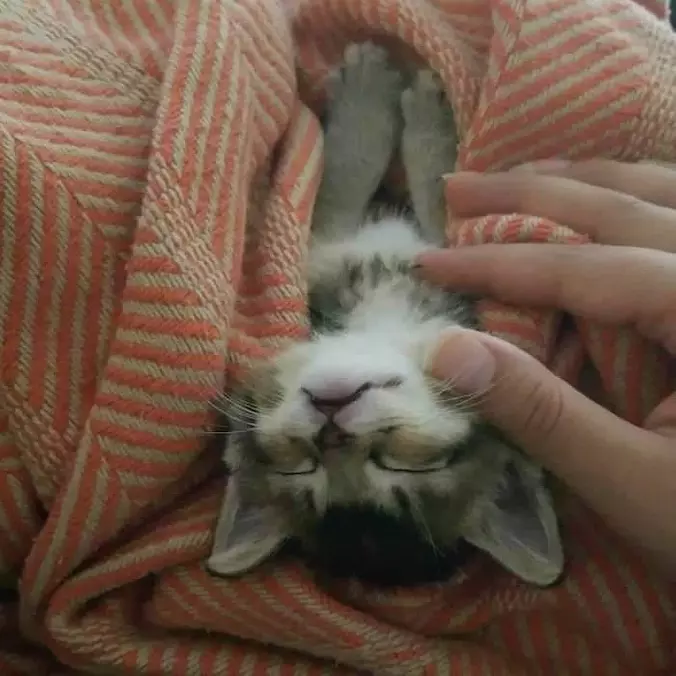 Give Me A Rub