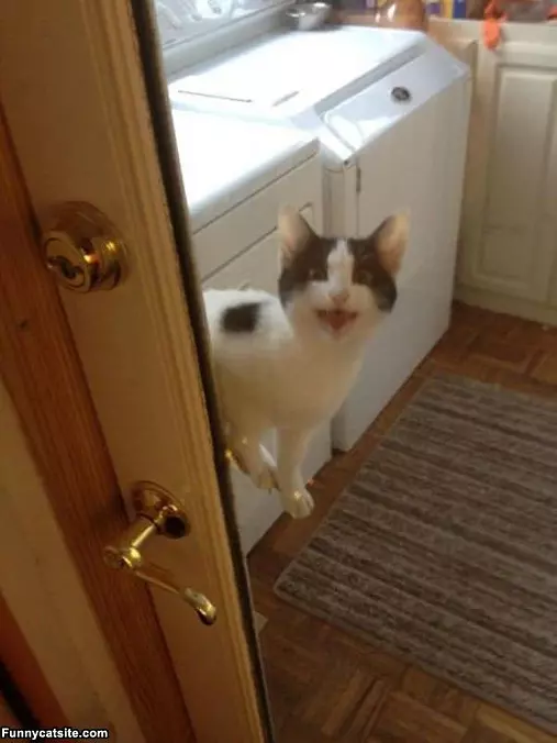 Hey There Can I Come In Now