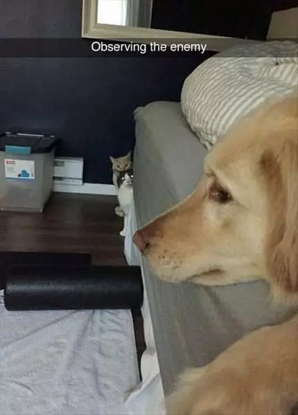 Not Mine Buddy