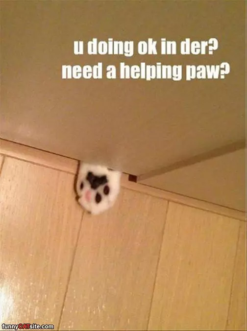 You Ok In There