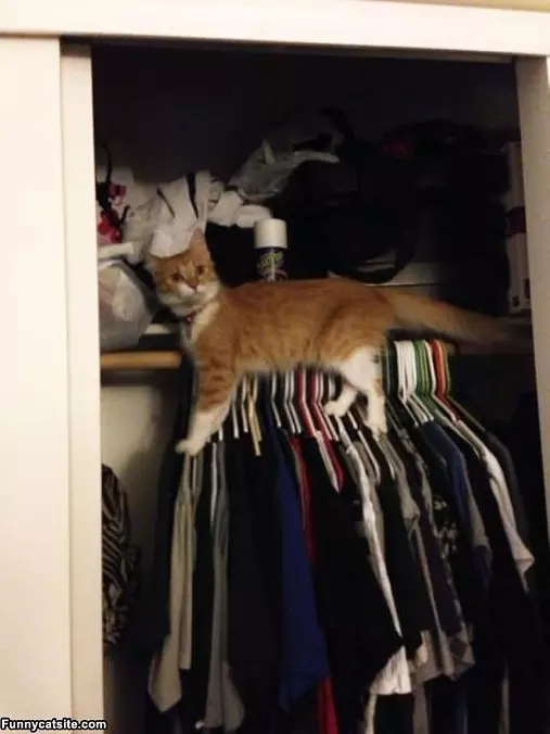 Just Hanging Out Here