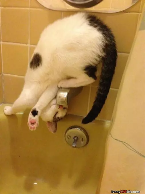 Getting Every Drop