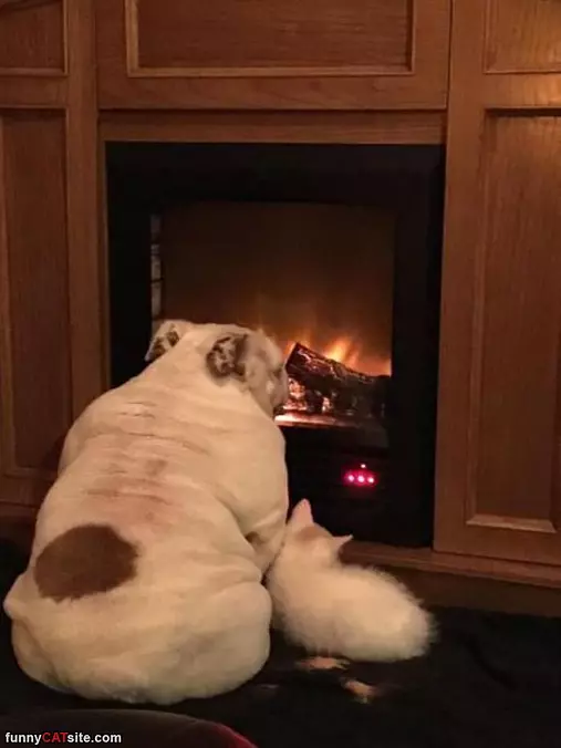 Enjoying A Nice Fire