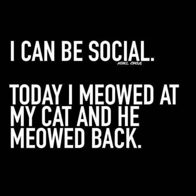 I Can Be Social