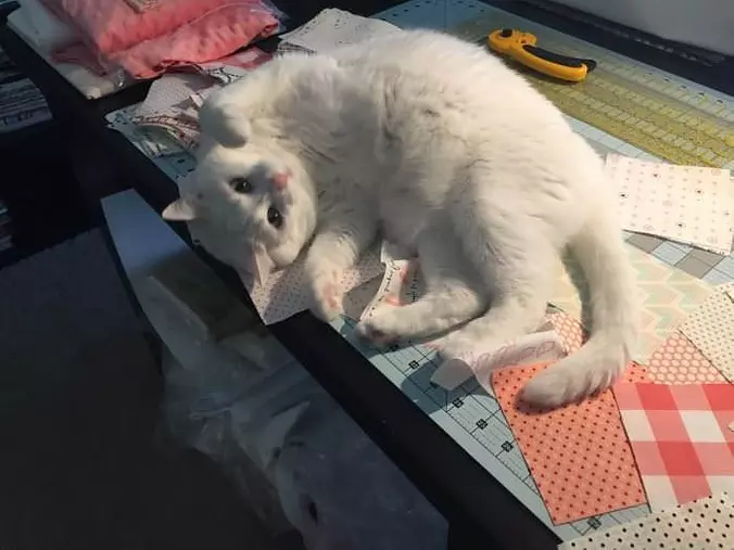 Just So Relaxed
