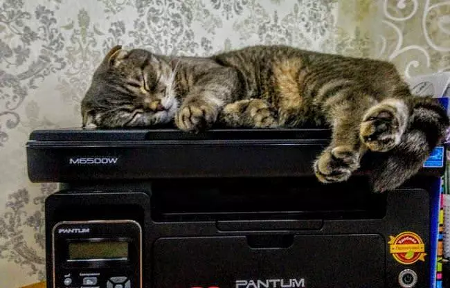 I Want To Sleep Here