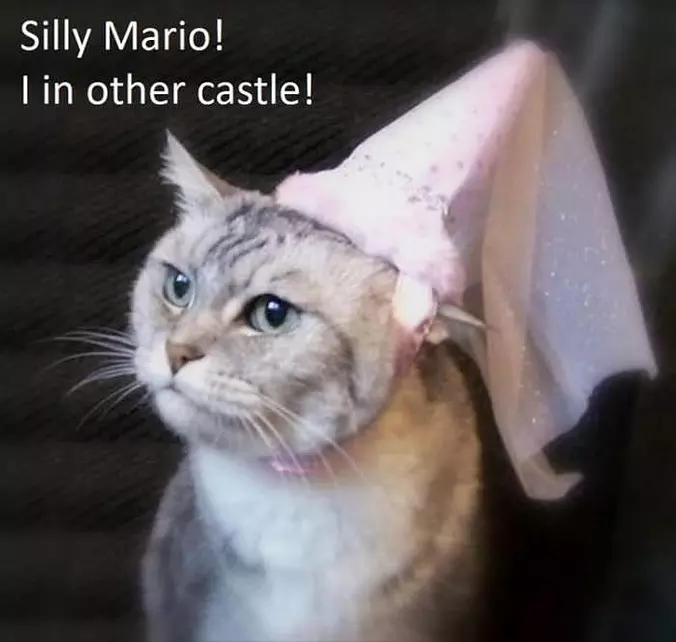 Oh Silly Mario