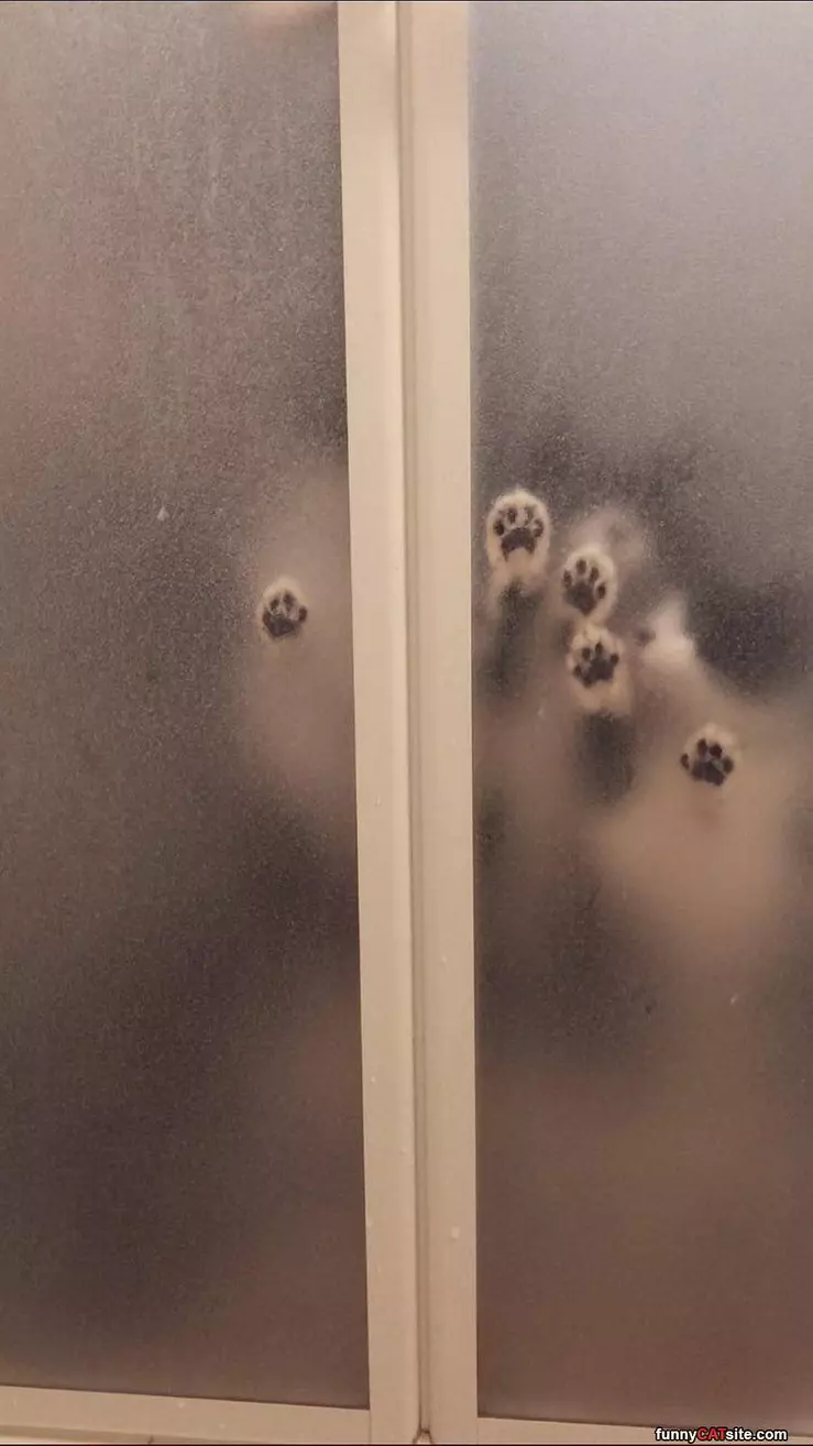 Let Us Out