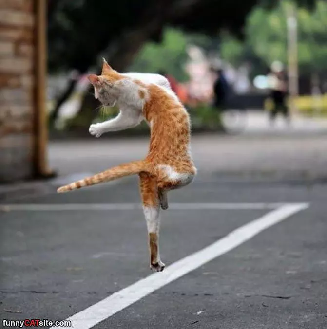 Jump And Jazz