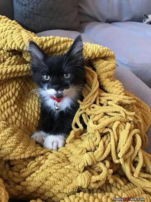 Bundled Up In My Blanky