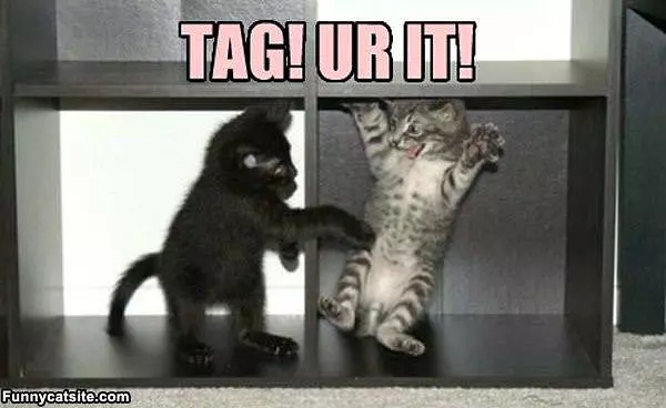 Tag Your It