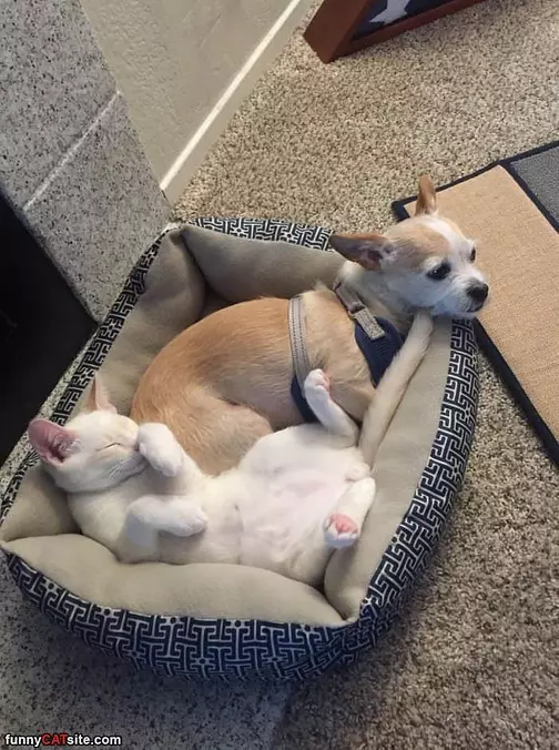 Keeping Each Other Warm