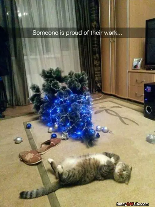 Very Proud
