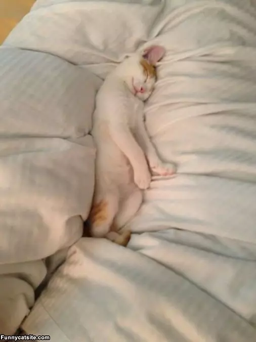 Sleep How I Want