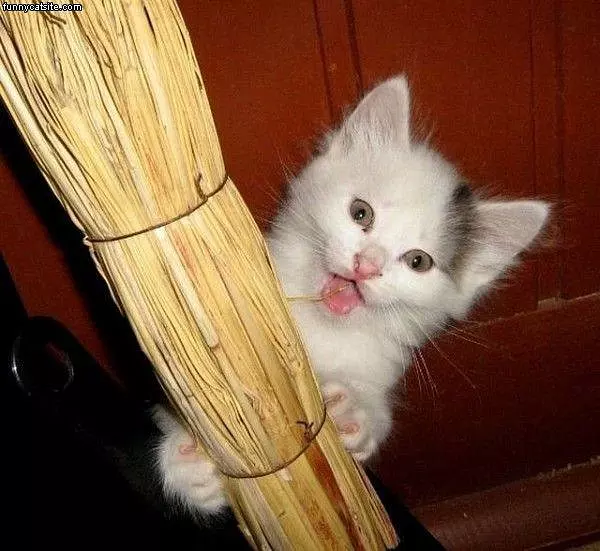 Heyyyy Guys