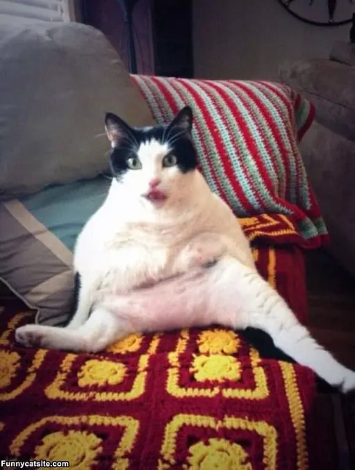 I Sit How I Want To