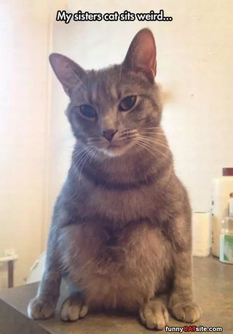 Sits Weird