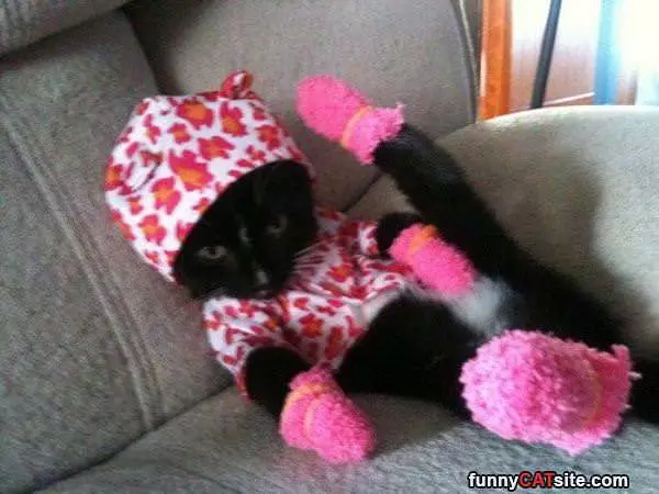 Dressed In Pink