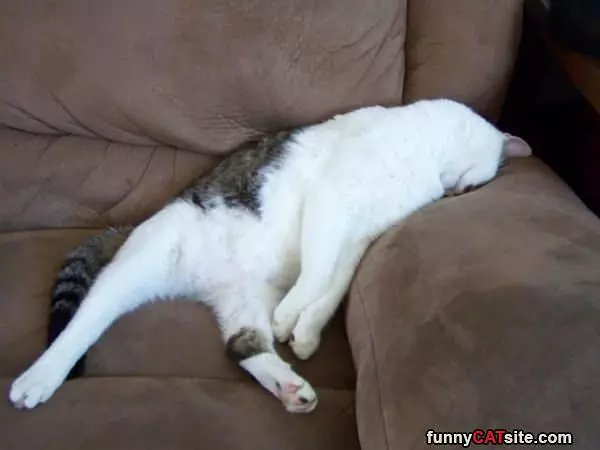 I Had A Long Day