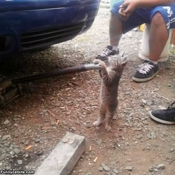 Let Me Help With This
