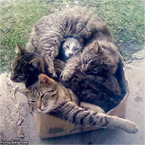 We Love This Box