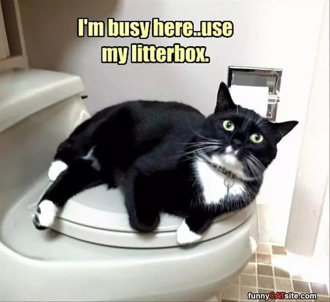 I Am Busy
