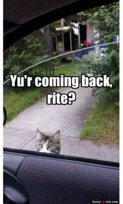 Coming Back Right