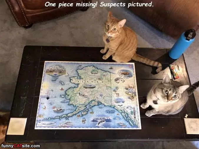 One Piece Missing