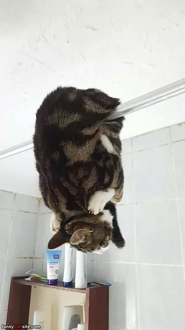 Hanging Around